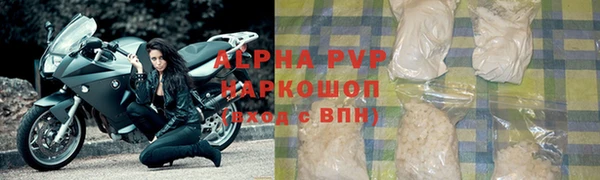 дживик Новозыбков