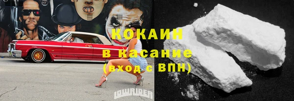 хмурый Белокуриха