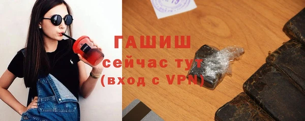 индика Новодвинск