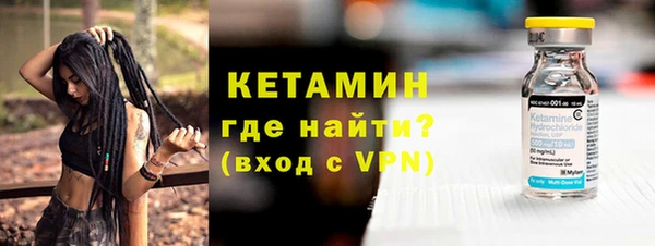 индика Новодвинск