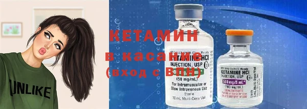 индика Новодвинск