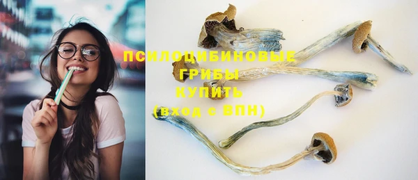 дурь Нея