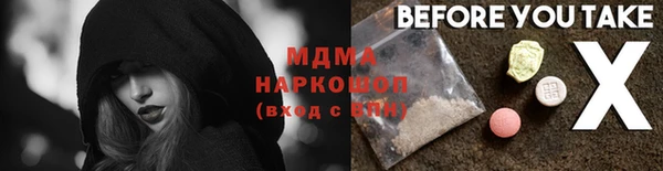 индика Новодвинск