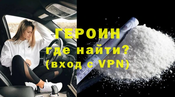 индика Новодвинск