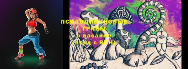 дживик Новозыбков