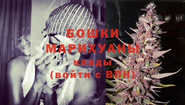 дурь Нея
