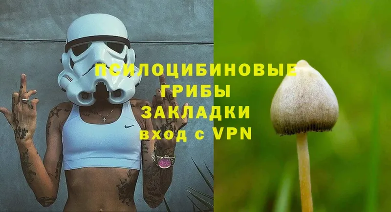 omg ССЫЛКА  Заводоуковск  Псилоцибиновые грибы MAGIC MUSHROOMS 