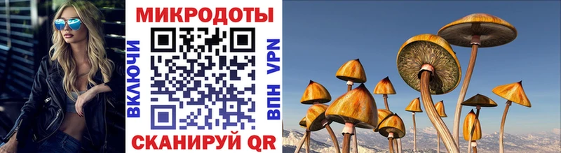 где купить   Заводоуковск  Псилоцибиновые грибы прущие грибы 