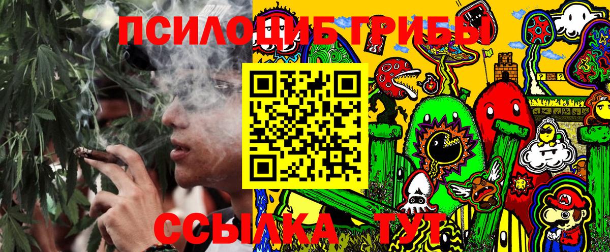 Псилоцибиновые грибы прущие грибы Заводоуковск