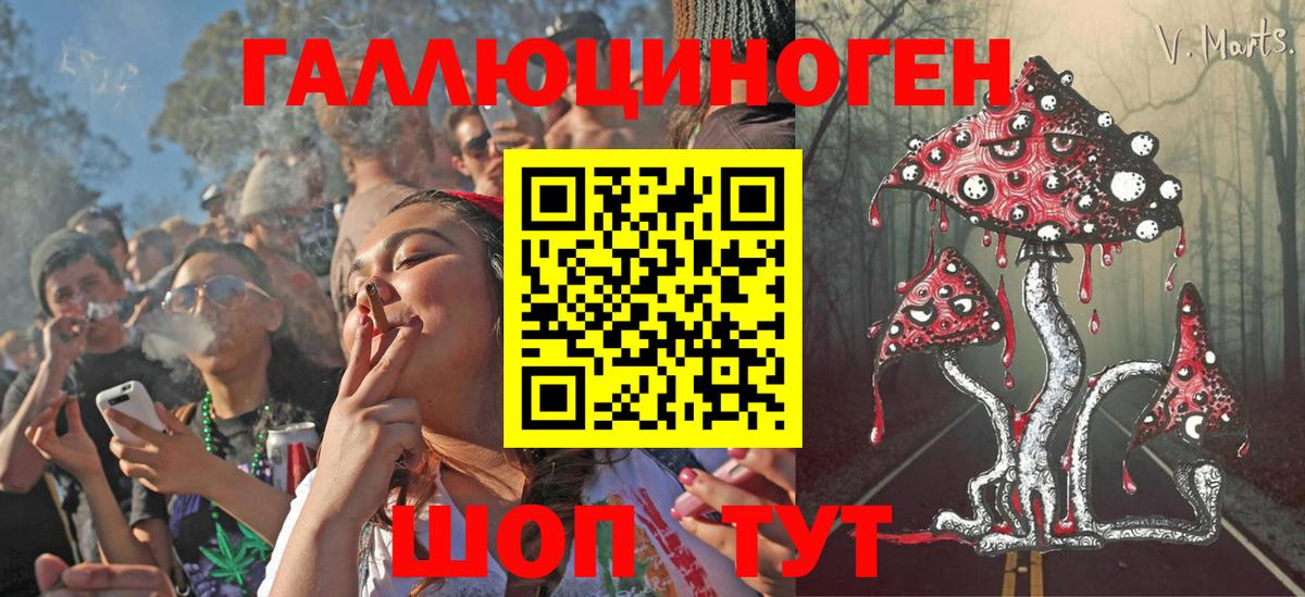 Галлюциногенные грибы MAGIC MUSHROOMS Заводоуковск