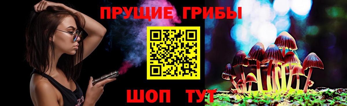 купить наркотик  Псилоцибиновые грибы прущие грибы  Вход с VPN  Заводоуковск 
