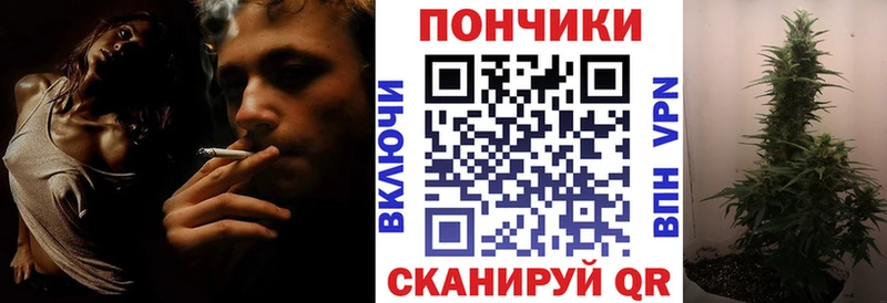 как найти закладки Заводоуковск Канабис Amnesia